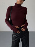 Fitted Turtleneck Long Sleeve Knit Top